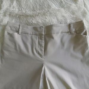 Charter Club Shorts - π 2/$15 Charter Club Shorts Charter Club Shorts - π 2/$15 Charter Club Shorts